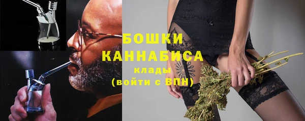 молекула духа Ельня