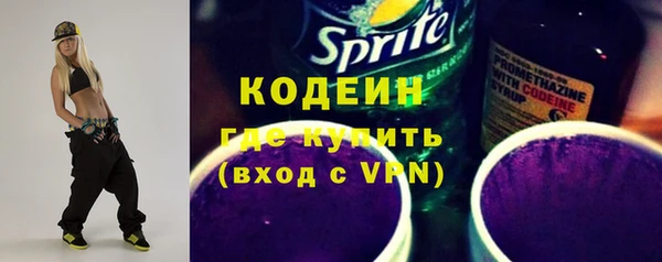 молекула духа Ельня
