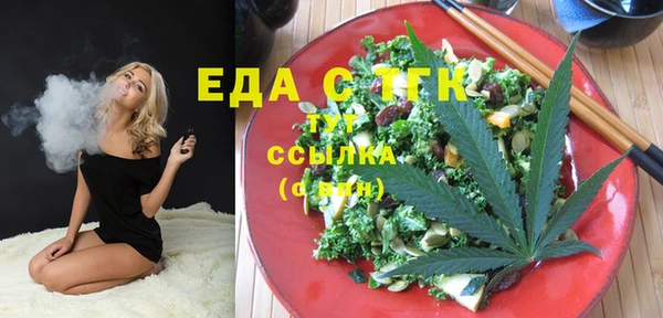 молекула духа Ельня