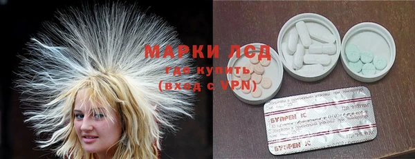 молекула духа Ельня