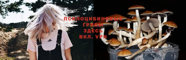 молекула духа Ельня