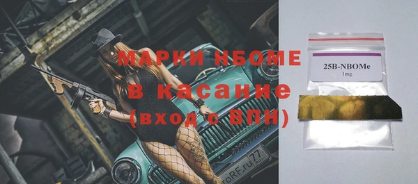 молекула духа Ельня